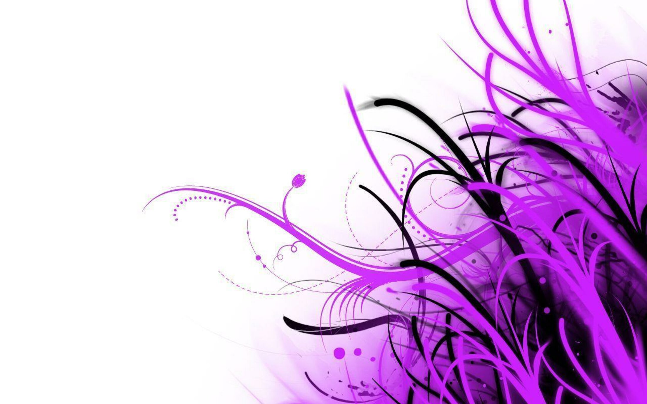 85uadgs-purple-and-white-backgrounds.jpeg
