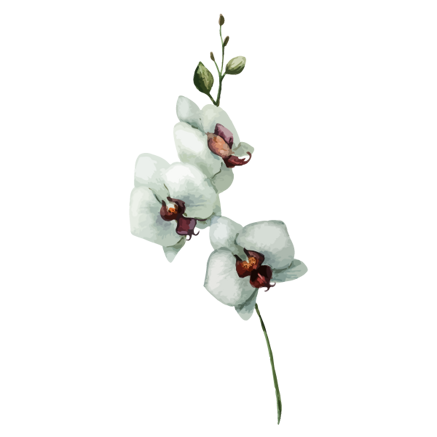 fe7bbd8d5cc0089fb54c10788205a8fa60f2cd4d