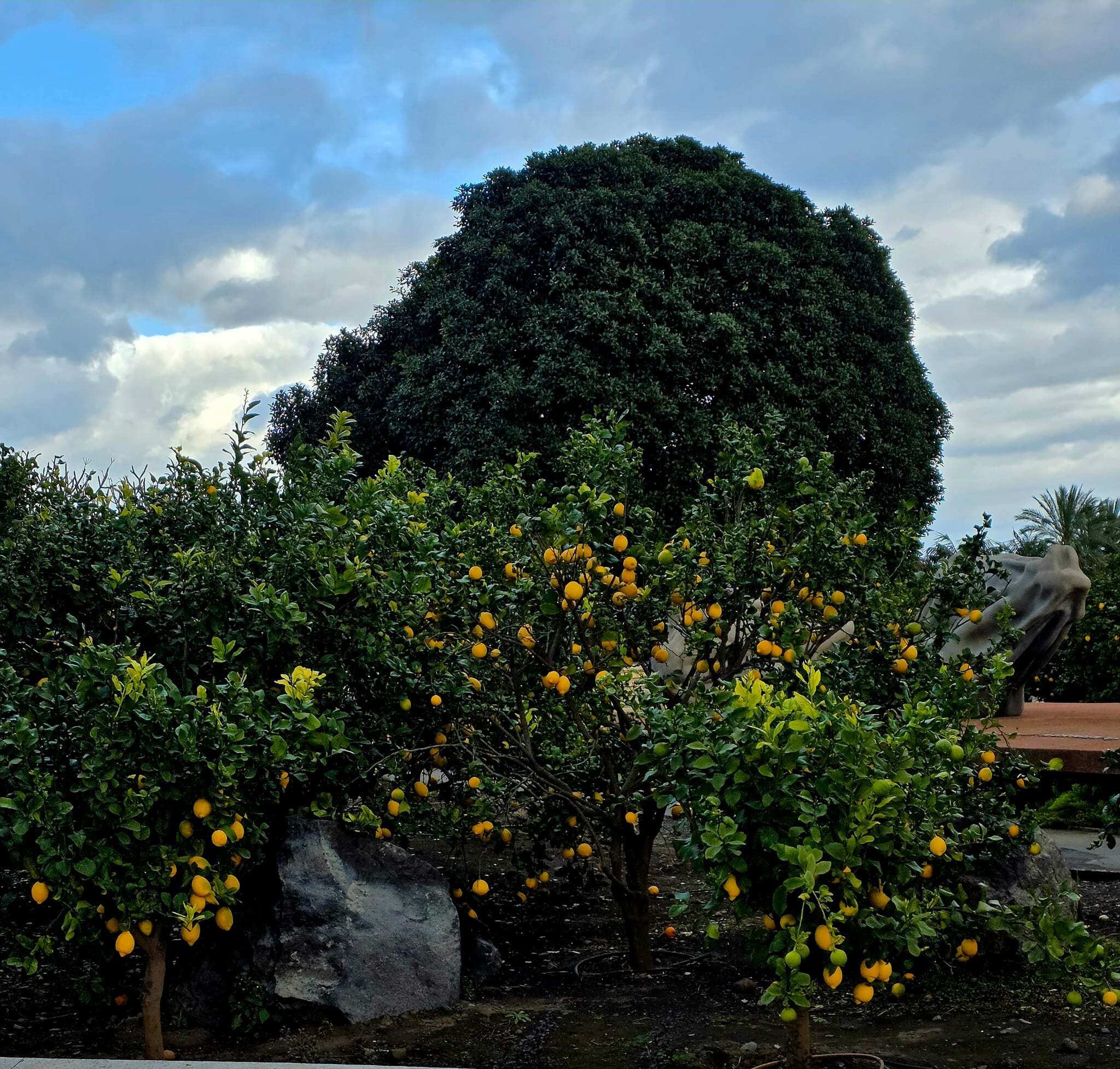 Una mattinata all’insegna del buon vino con Open AIS: la Giornata del Sommelier non ha deluso le aspettative