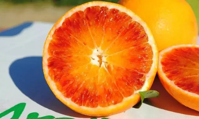 A Francofonte torna la Sagra dell’Arancia Rossa: tra sapori, folklore e tradizione dal 28 febbraio all'1 marzo