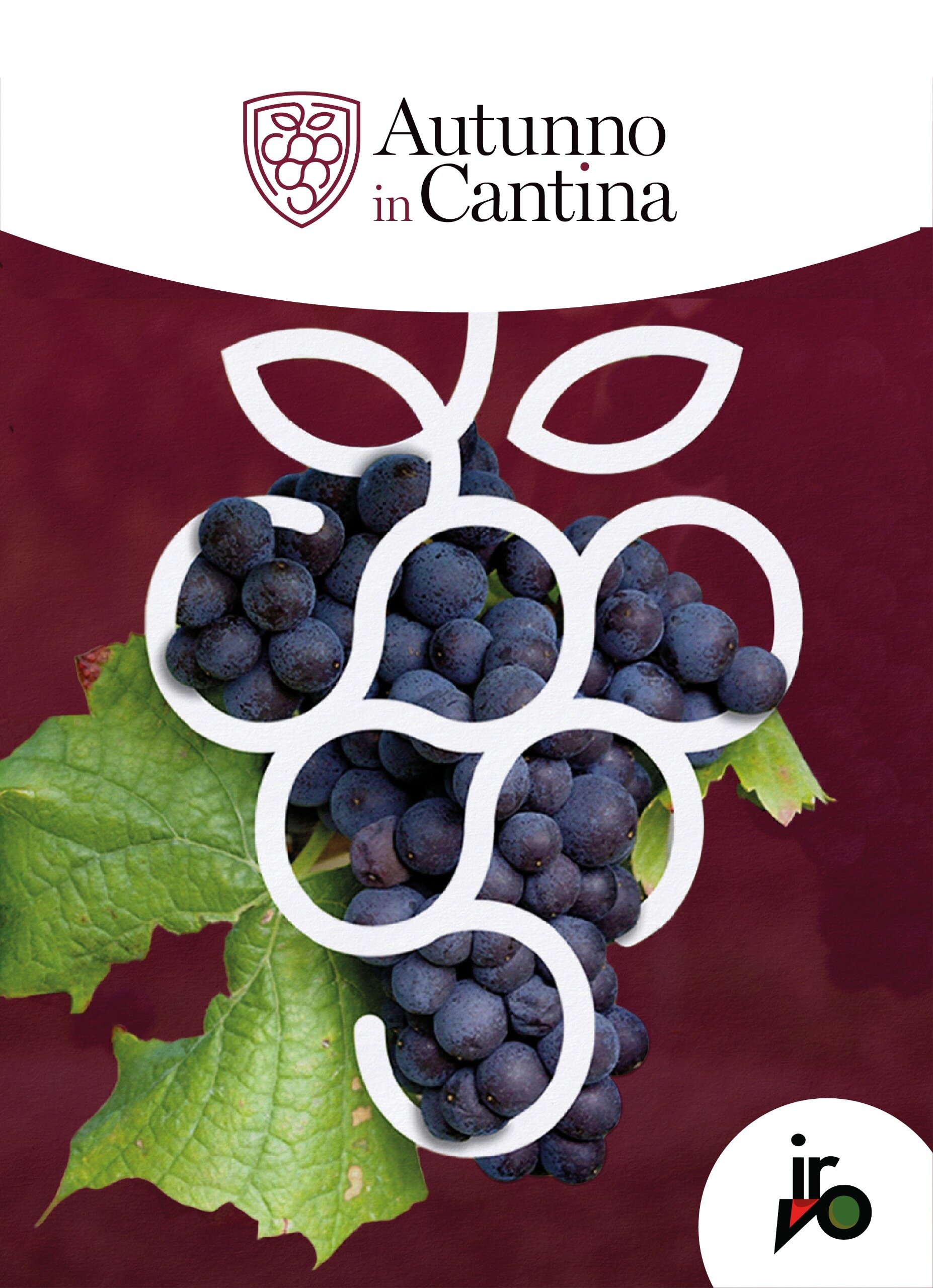 La Sicilia del vino cambia stagione: torna &ldquo;Autunno in Cantina&rdquo;