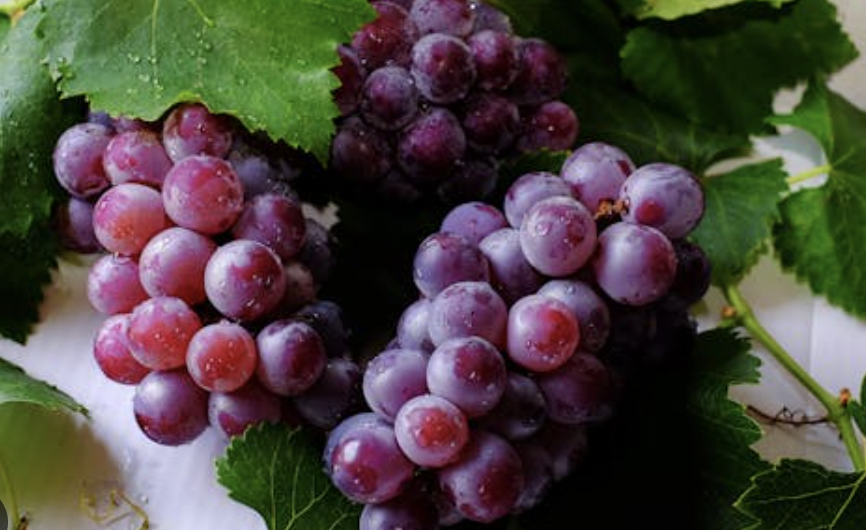 Il vino dell’Etna brinda alle Olimpiadi: Cottanera a Casa Italia per Milano-Cortina 2026