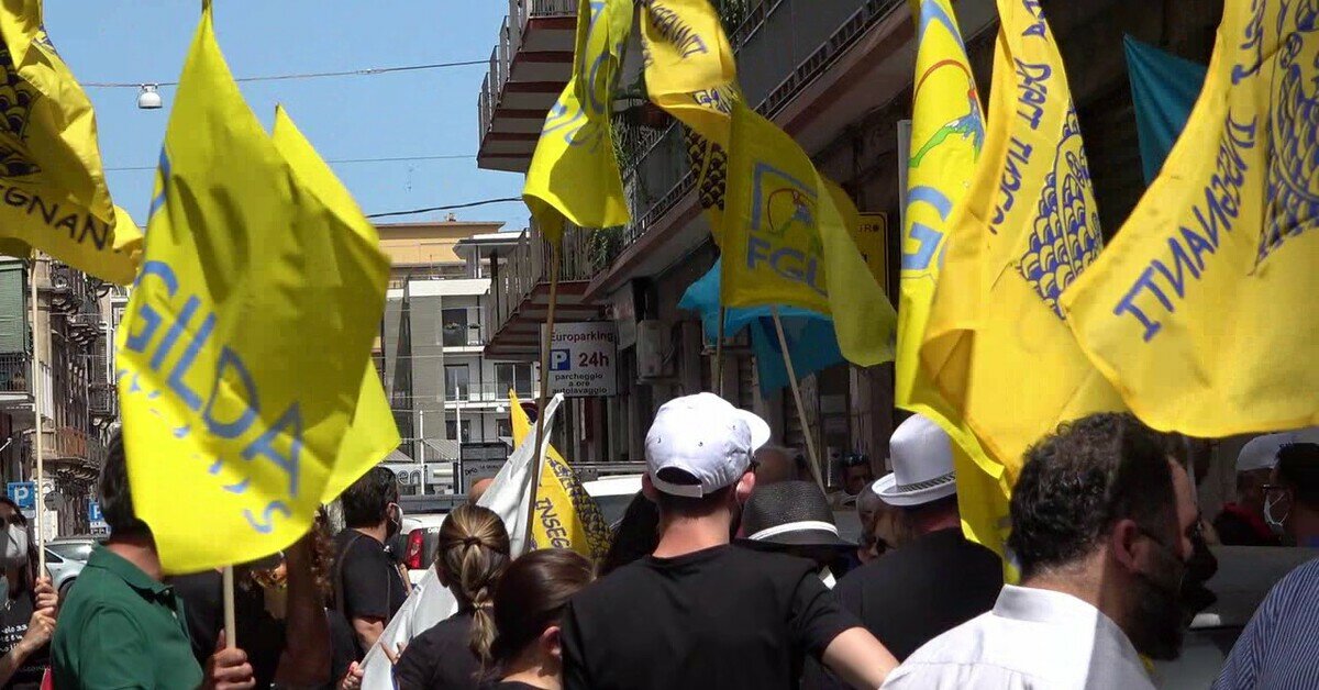 Scuola: a Catania quasi 1900 cattedre ancora da coprire, il precariato diventa la regola