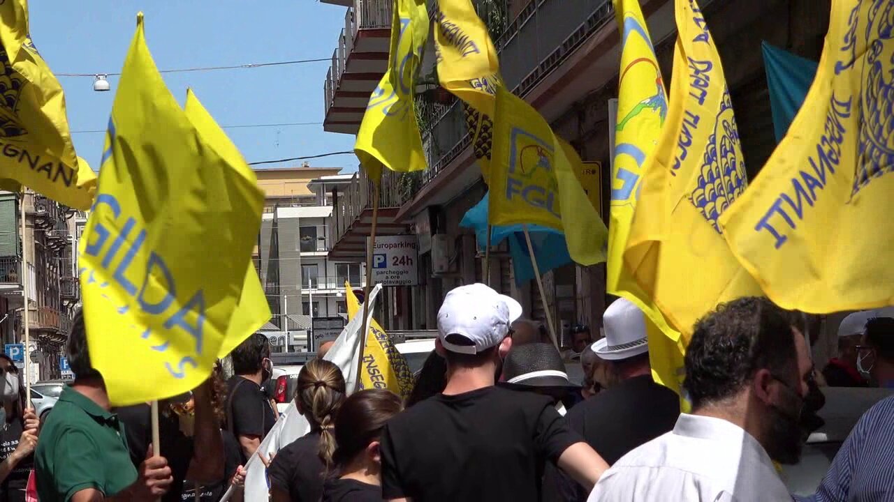 manifestazione.jpeg