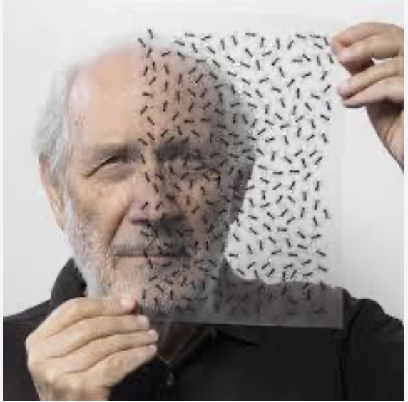 Se l’arte scappa di casa ... e va raminga per il mondo.