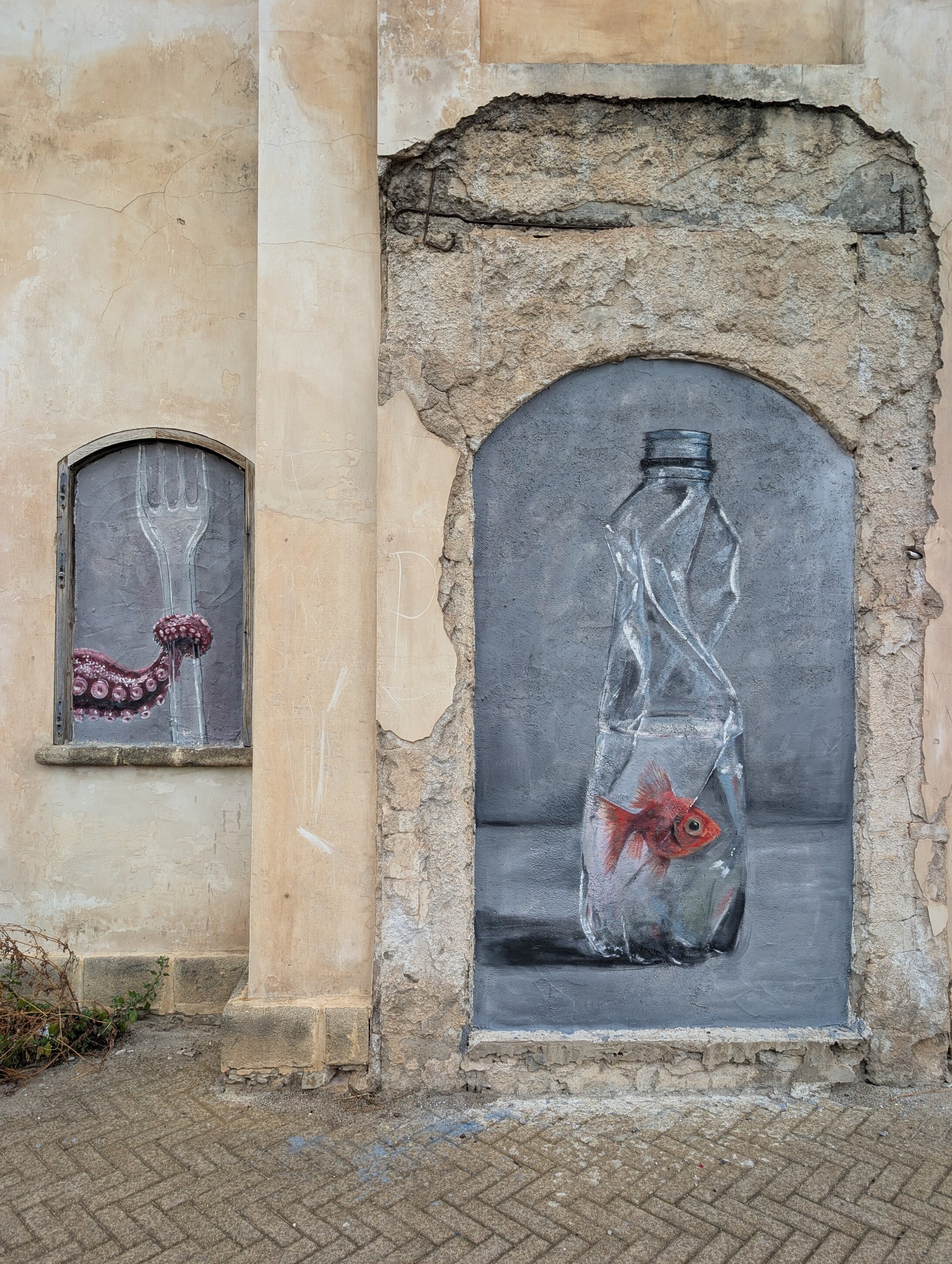 COME UN PESCE NELLA PLASTICA. Il viaggio di Nino Carlotta lungo le coste siciliane
