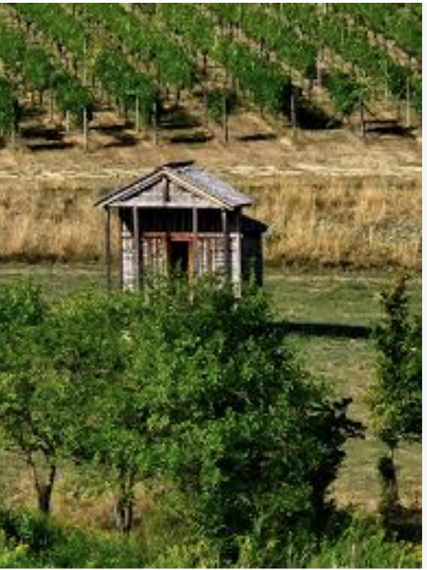 Il parco artistico delle Tenute Ballasanti. A Giarre Il parco artistico delle Tenute Ballasanti. A Giarre