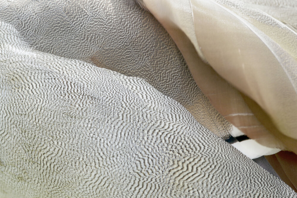 780f9643c6849711da3a4737ea208dcbe378fc26