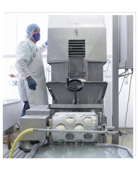 produzione mozzarelle latina