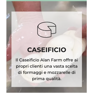 alan farm - pulsante 1 alan farm - pulsante 1