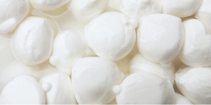 alan farm - banner mozzarelle.jpeg alan farm - banner mozzarelle.jpeg