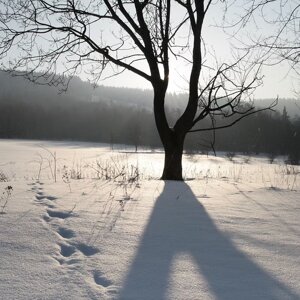 imgi_15_beed8a_f6d62e8a950d42dfa7ef0974679194e7~mv2_d_3888_2592_s_4_2