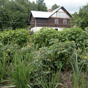 imgi_15_beed8a_d11978c9908a422daa49c15347df017f~mv2