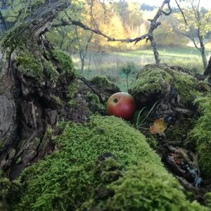 imgi_15_beed8a_074b523ae4ba445489076cac0b8d3ae0~mv2_d_4160_3120_s_4_2