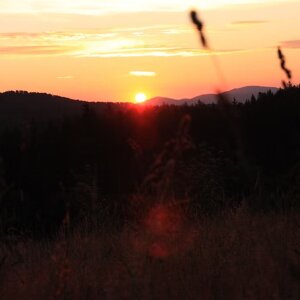 imgi_22_beed8a_94e55bcc0a244762bb7783ca218d832a~mv2_d_1936_1288_s_2