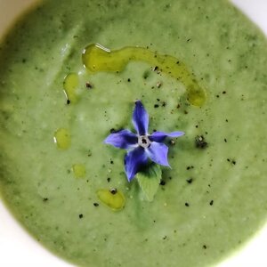 imgi_27_beed8a_5878126d79a0485784cde5b12835cdcf~mv2_d_2309_1732_s_2