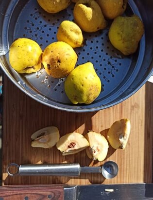 imgi_15_beed8a_53c0cfd1632b461aa644899cf70f890a~mv2