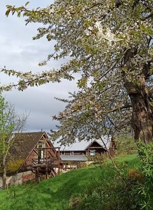 imgi_15_beed8a_02e3c80bf7484eb382862e141122fc4c~mv2 imgi_15_beed8a_02e3c80bf7484eb382862e141122fc4c~mv2