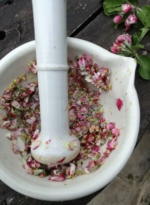 imgi_15_beed8a_5f014c4e8b67448482455f7999a64d7f~mv2 imgi_15_beed8a_5f014c4e8b67448482455f7999a64d7f~mv2