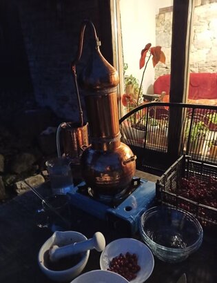 imgi_15_beed8a_7a7c216504b24cf3853eb3046a2710fe~mv2