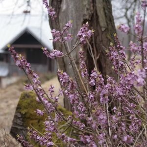 imgi_15_beed8a_a0ab7e1d92c2401e9ec56c065478449e~mv2_d_3888_2592_s_4_2