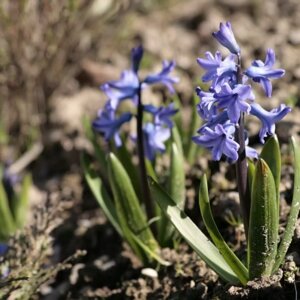 imgi_15_beed8a_6ff65f110b70458bbd8a873925580e66~mv2