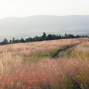 imgi_15_beed8a_0809a655db7c4f0a8e05b25e80c578df~mv2