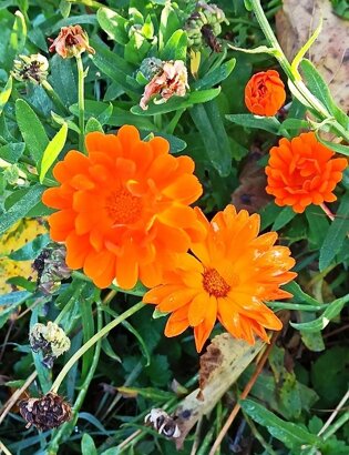 imgi_15_beed8a_d2a469c540b742d191b2a8b795403167~mv2