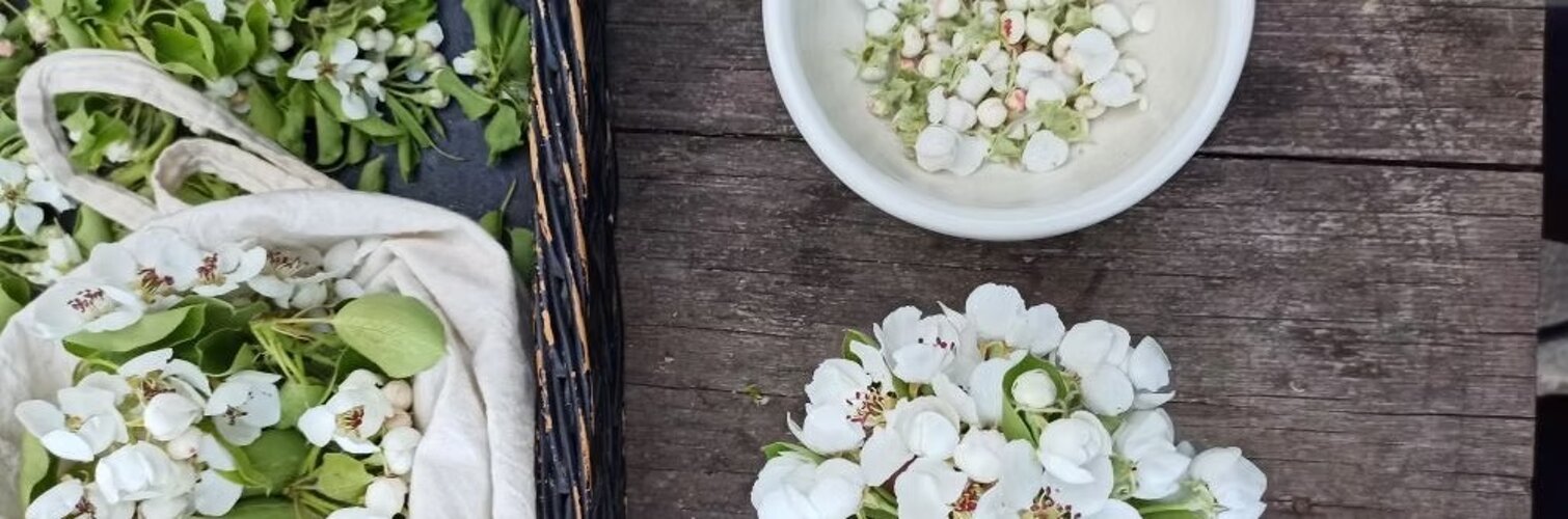 imgi_3_beed8a_6f7f2a3d56b147e5b6ee13b687504f74~mv2.jpeg imgi_3_beed8a_6f7f2a3d56b147e5b6ee13b687504f74~mv2.jpeg