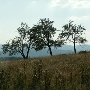 imgi_15_beed8a_f1045c6cbdd84f138ce76efff7282950~mv2_d_2048_1536_s_2