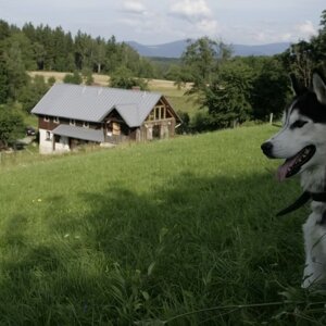 imgi_15_beed8a_91117165d5524541a6d8f8a67605e7c7~mv2