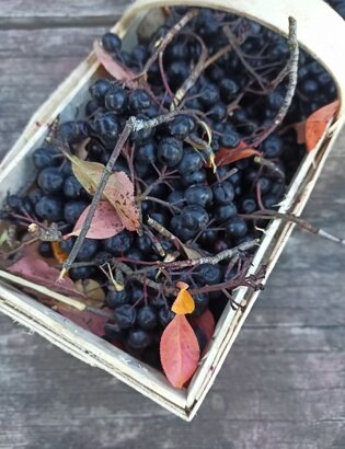 imgi_15_beed8a_06c2bef7597045b09a1b1cd797ae9148~mv2