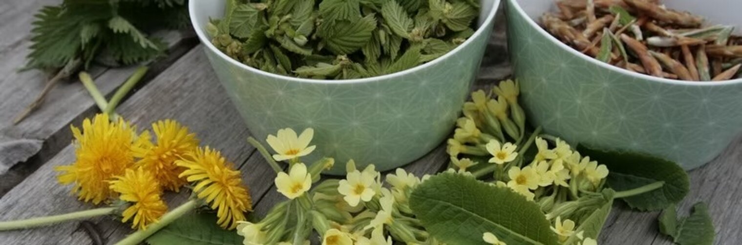 imgi_3_beed8a_6e225acb2a18492a9718c9e6cbf65e26~mv2.jpeg imgi_3_beed8a_6e225acb2a18492a9718c9e6cbf65e26~mv2.jpeg