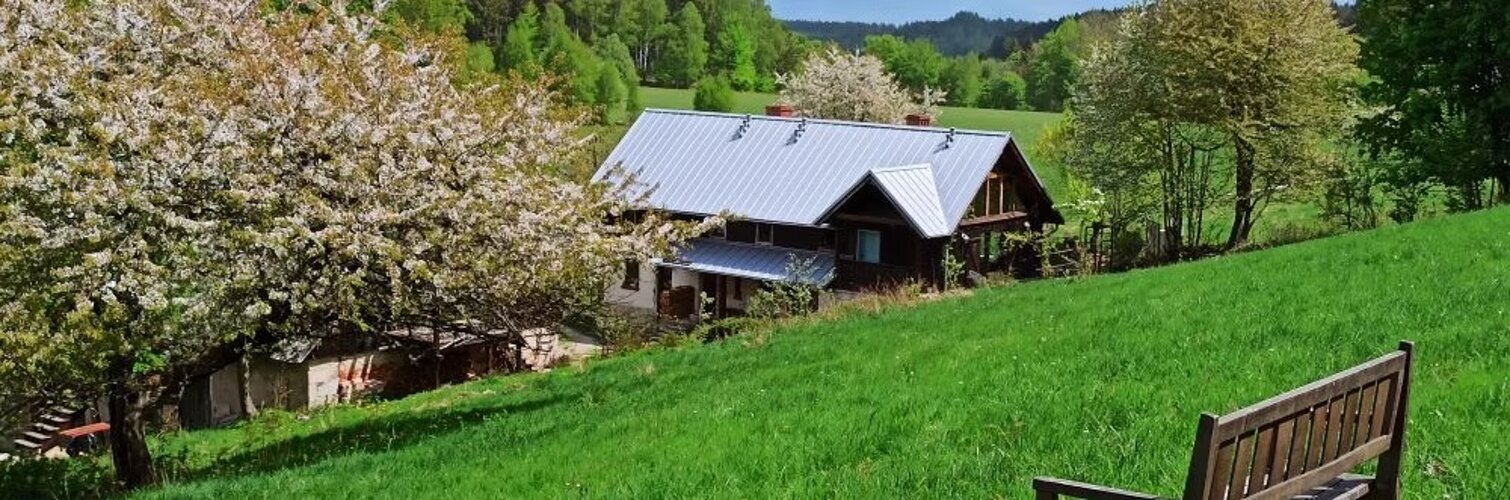 imgi_3_beed8a_35a2169db1d749218b1ba97c504a4855~mv2.jpeg imgi_3_beed8a_35a2169db1d749218b1ba97c504a4855~mv2.jpeg