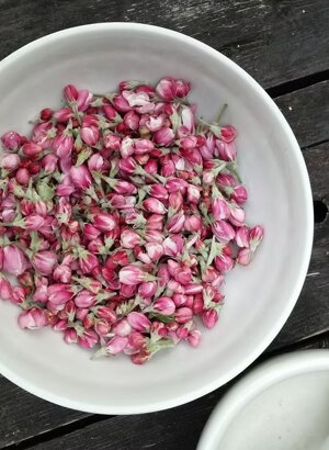 imgi_15_beed8a_0adda4cf07144dfbbe2cd2bc701c0857~mv2 imgi_15_beed8a_0adda4cf07144dfbbe2cd2bc701c0857~mv2