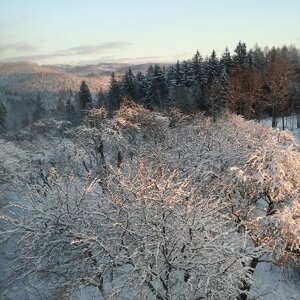 imgi_15_beed8a_e8839ed2e6e64f62b74b913fd9bc5145~mv2_d_3120_4160_s_4_2