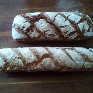 imgi_15_beed8a_ad8f16b63c4b43369cf5854a7f431356~mv2