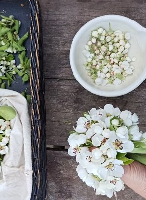 imgi_15_beed8a_6f7f2a3d56b147e5b6ee13b687504f74~mv2 imgi_15_beed8a_6f7f2a3d56b147e5b6ee13b687504f74~mv2