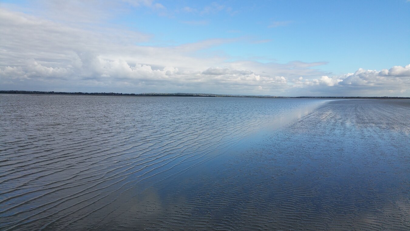 473009efbf14dbd1beebaf3467c8ae8ce6b9f6c4