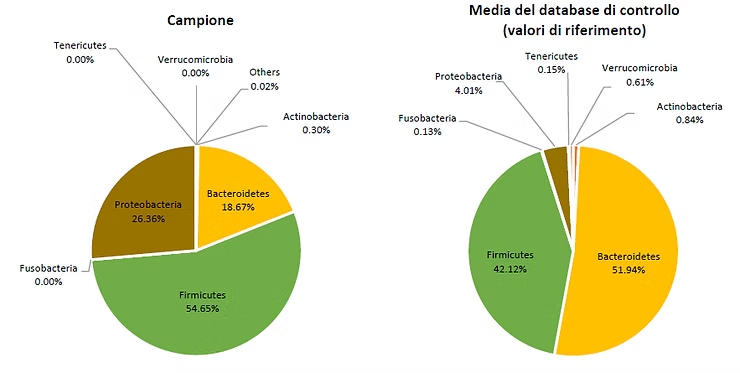 Diet and microbiota in IBD Diet and microbiota in IBD