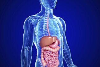 7a2463a5d72170968c82ee47564522c7a06d65c7