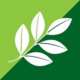 imgi_12_foglia nutrilite