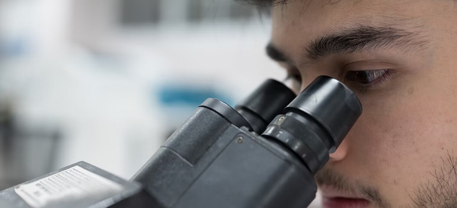 imgi_6_11062b_8211195b7d69485f94512b9137b8c038~mv2.jpeg imgi_6_11062b_8211195b7d69485f94512b9137b8c038~mv2.jpeg