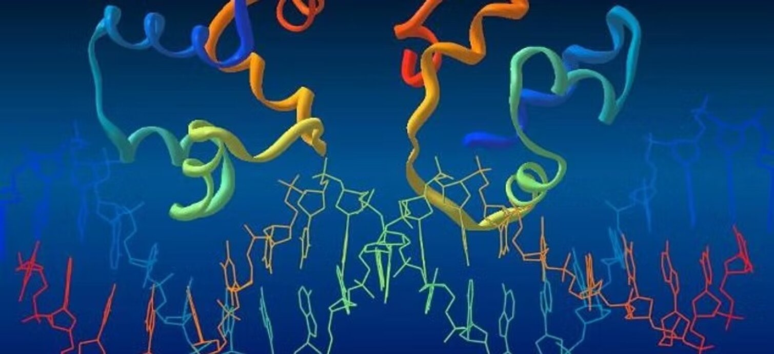 imgi_7_79aa6c_e6060297388a464c8a491cb9035398be~mv2.jpeg imgi_7_79aa6c_e6060297388a464c8a491cb9035398be~mv2.jpeg