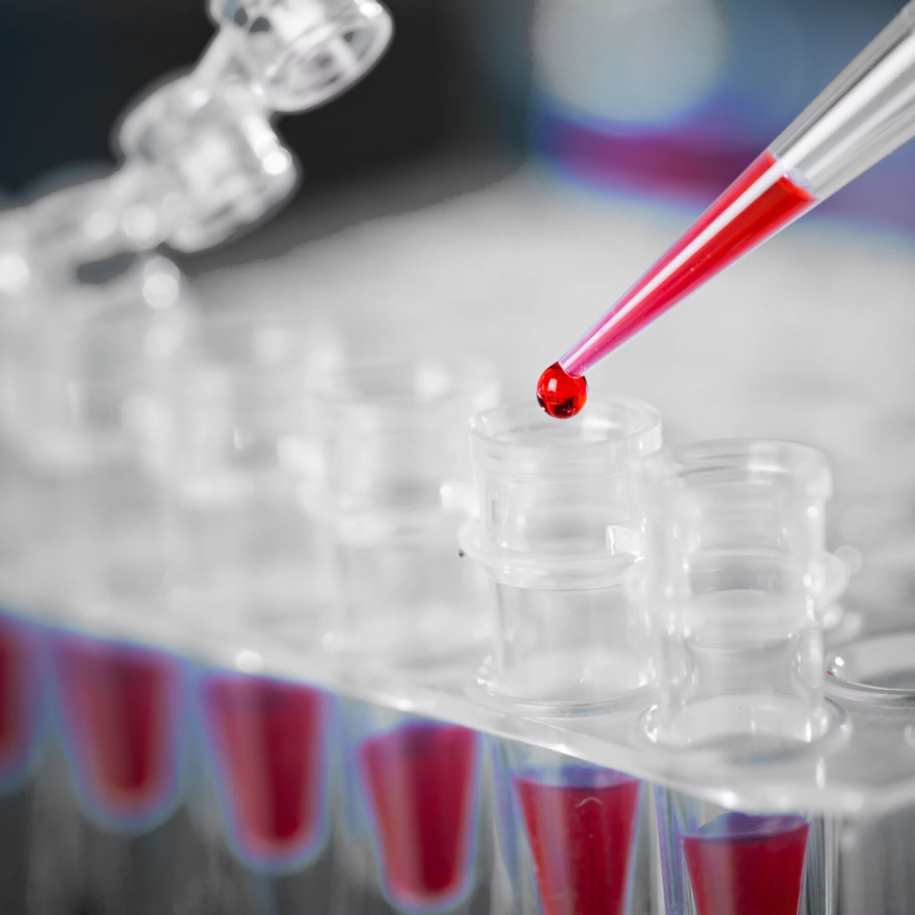 Suggested tests before a diet Suggested tests before a diet