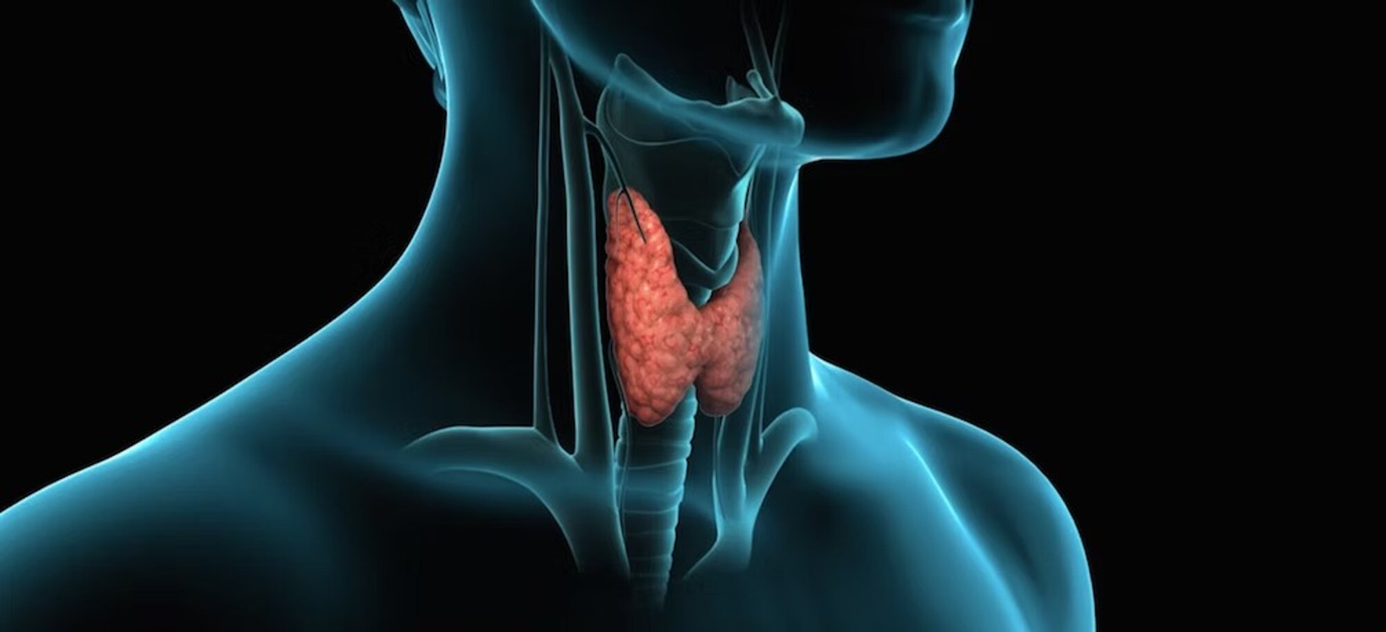 imgi_4_79aa6c_60fbf20f96a2404bbbf0f210f37bb857~mv2.jpeg imgi_4_79aa6c_60fbf20f96a2404bbbf0f210f37bb857~mv2.jpeg