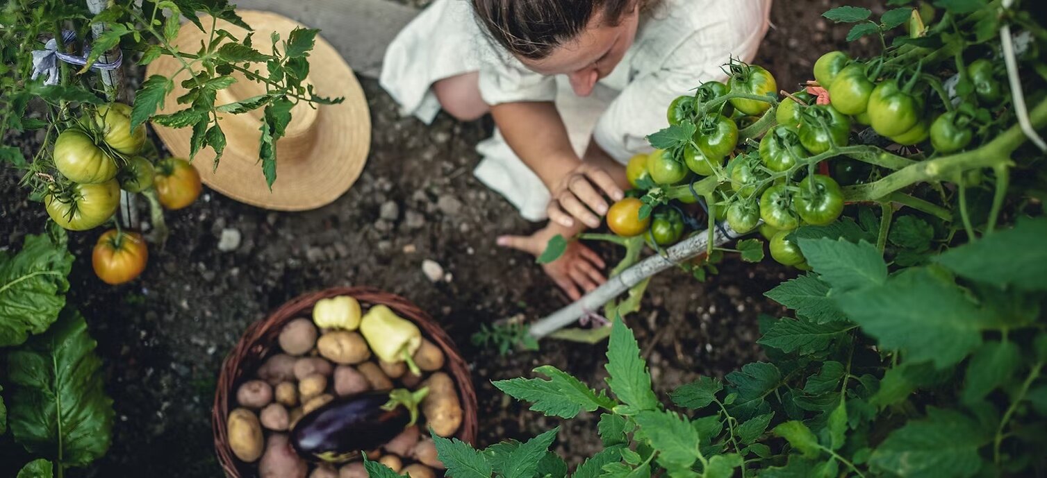 imgi_4_11062b_1f3ce6a2be614f8093f4db6179cfb98f~mv2.jpeg imgi_4_11062b_1f3ce6a2be614f8093f4db6179cfb98f~mv2.jpeg