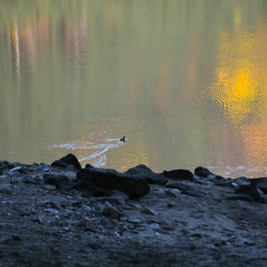 Lago Ampollino Lago Ampollino