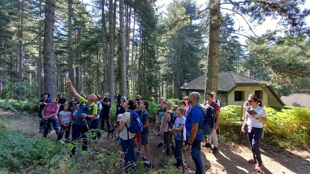 eyJpdCI6IkVzY3Vyc2lvbmUgaW4gU2lsYSJ9