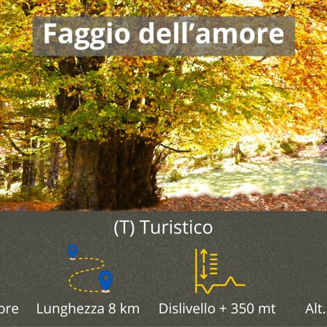 laghetto%20di%20lenzano.jpeg